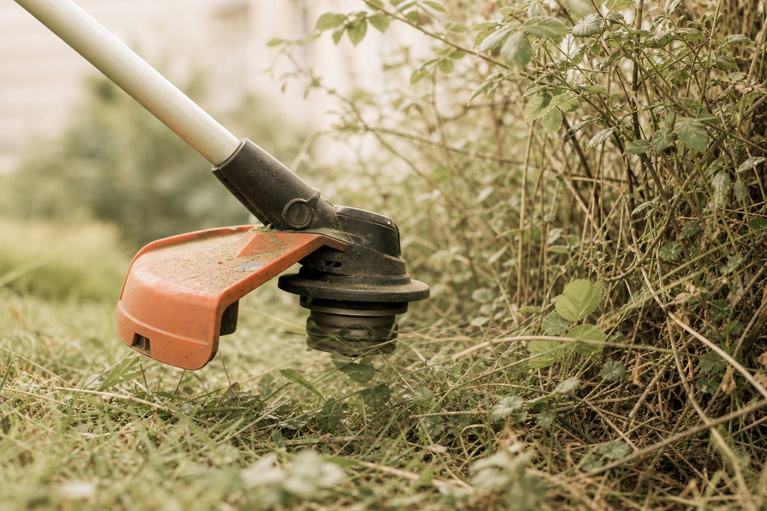 Lame de débroussailleuse coupant herbes hautes et ronces
